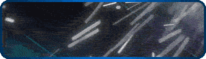 Logo IGAMBLE247